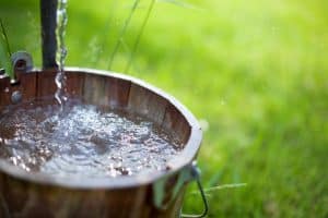 Water Pouring Into a Bucket | Well Water